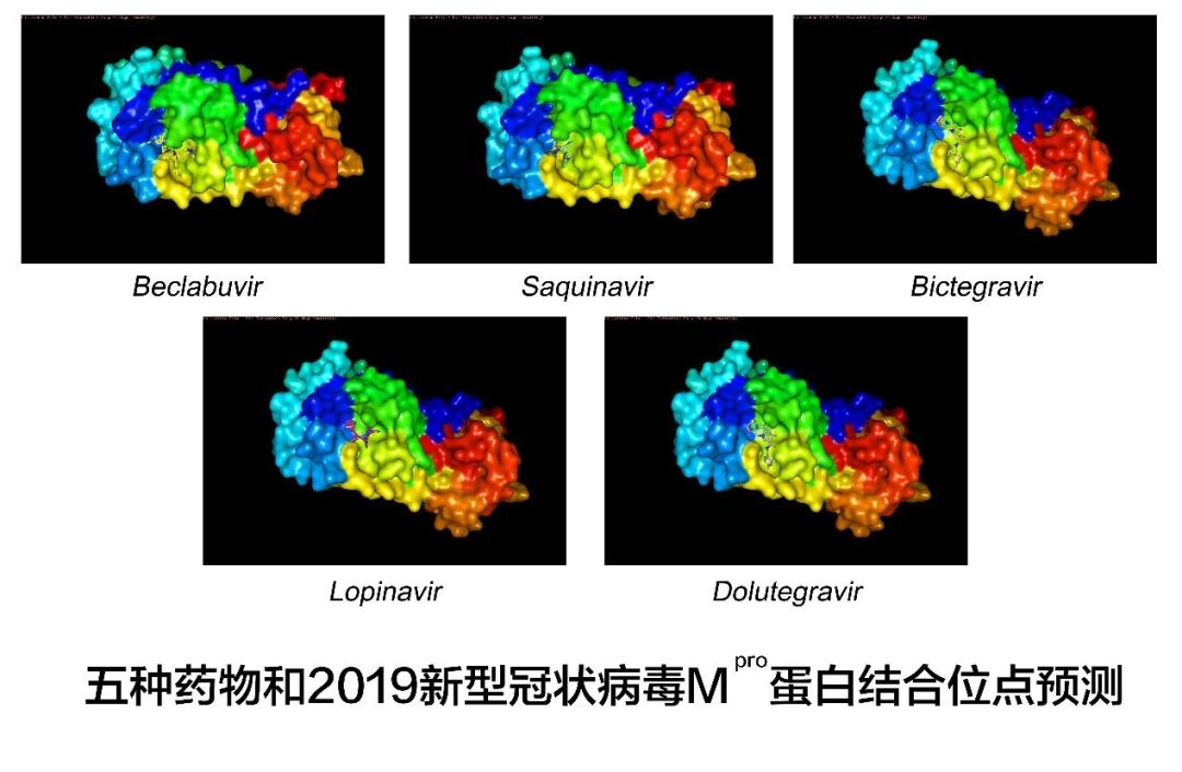 除了李蘭娟團隊成果 武漢還有好消息：5種藥物可能有效